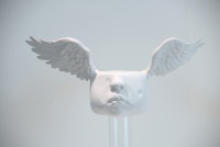 STATES OF CONSCIOUSNESS / Claire Becker / Opening