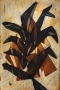Maíz planta cósmica (ocre)