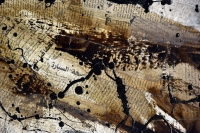 Ghis Thomas / Opening April 25, 2018