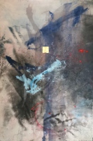 El Caos de Schopenhauer