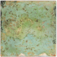 Un mar de rosas para el Dr Atl