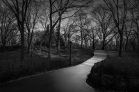 Camino