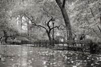 Paisajes V