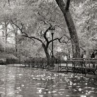 Paisajes V