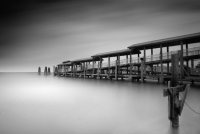 Muelle