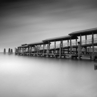 Muelle
