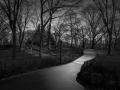 Camino