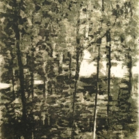 Bosque-verde