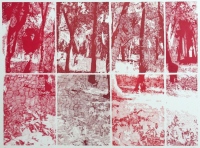 El jardín