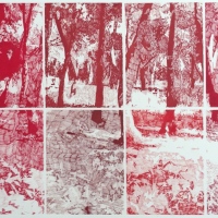 El jardín
