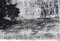 Bosque perdido