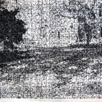Bosque perdido