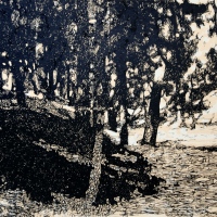 Bosque de sombras