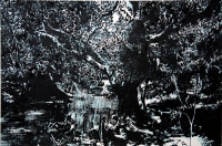 Árbol de río