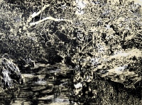 Río