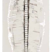 De la serie Anima Mundi II