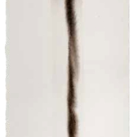 Dela serie Anima Mundi VII