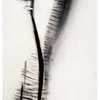 De la serie Anima Mundi VIII