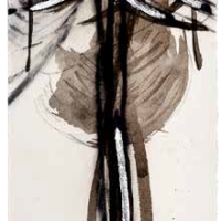 De la serie Anima Mundi XI