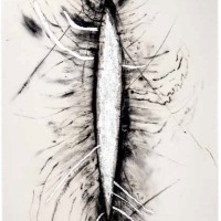 De la serie Anima Mundi XVI