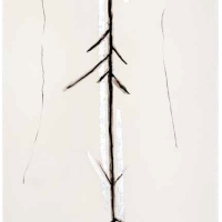De la serie Anima Mundi XVIII