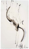 De la serie Anima Mundi XX