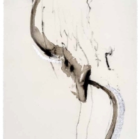 De la serie Anima Mundi XX