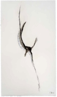 De la serie Anima Mundi XXII