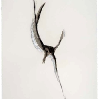 De la serie Anima Mundi XXII