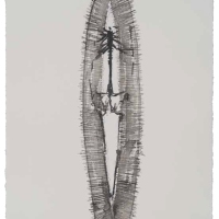 De la serie Anima Mundi XXV