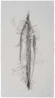 De la serie Anima Mundi XXVIII