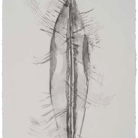 De la serie Anima Mundi XXVIII