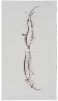 De la serie Anima Mundi XXIX
