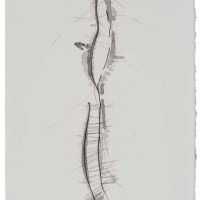 De la serie Anima Mundi XXIX