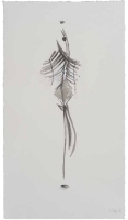 De la serie Anima Mundi XXX