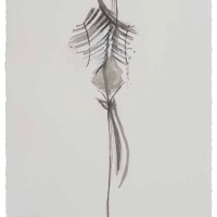 De la serie Anima Mundi XXX