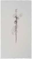 De la serie Anima Mundi XXXI