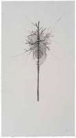 De la serie Anima Mundi XXXIII