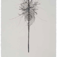 De la serie Anima Mundi XXXIII