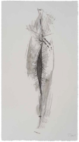 De la serie Anima Mundi XXXIV