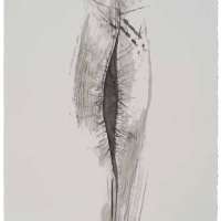 De la serie Anima Mundi XXXIV