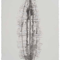 De la serie Anima Mundi XXXVI