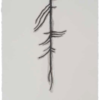 De la serie Anima Mundi XXXVII