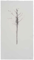 De la serie Anima Mundi XXXVIII