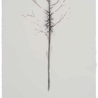 De la serie Anima Mundi XXXVIII