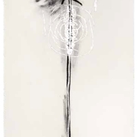 De la serie Anima Mundi I