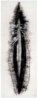 De la serie Anima Mundi III