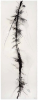 De la serie Anima Mundi IV