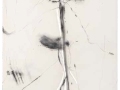 De la serie Anima Mundi VI