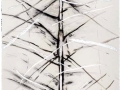 De la serie Anima Mundi XIII